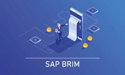 SAP BRIM Training