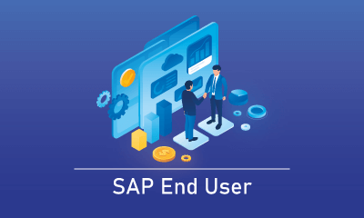 SAP End User Training