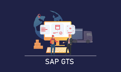 SAP GTS Training