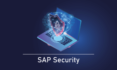 SAP Security Training