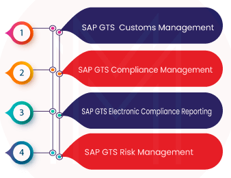Components of SAP GTS
