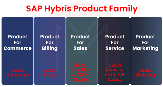 Sap Hybris Product Family