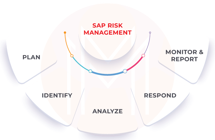 SAP Risk Management