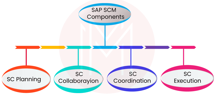 Components of SAP SCM