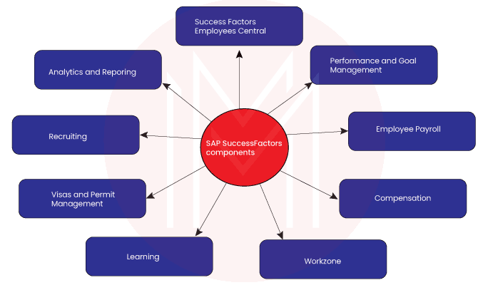 success factors components