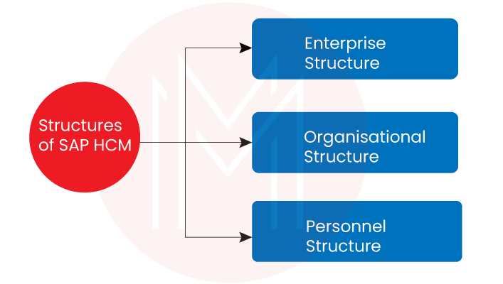  Structures in SAP HCM