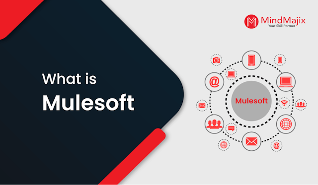 What is Mulesoft? - A Complete Beginners Tutorial
