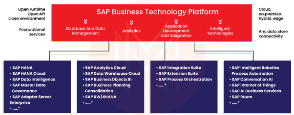 SAP Business Technology Platform Use Cases