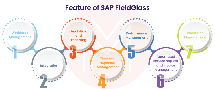 Features of SAP Fieldglass