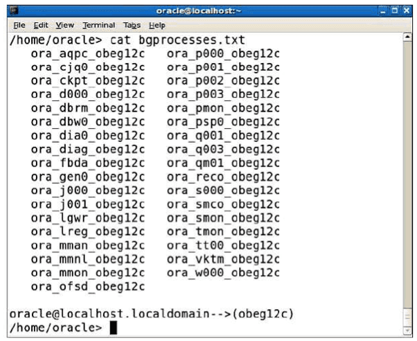 Oracle instance