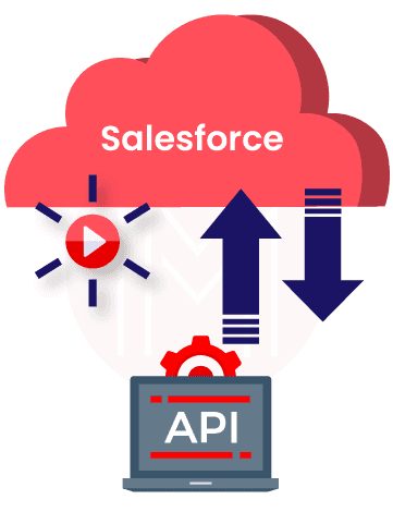 Salesforce API