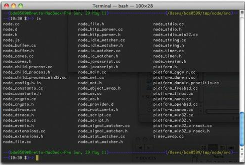 Terminal bash