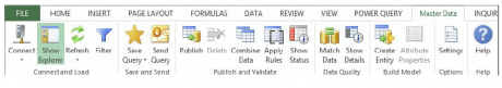 Excel Master Data Ribbon