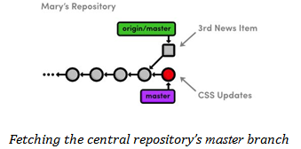 Fetching Central Repository