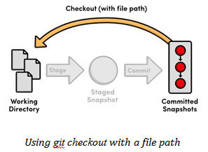 Git Checkout