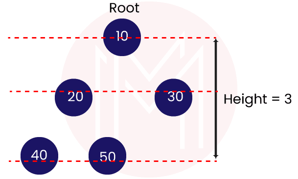 What is a binary tree