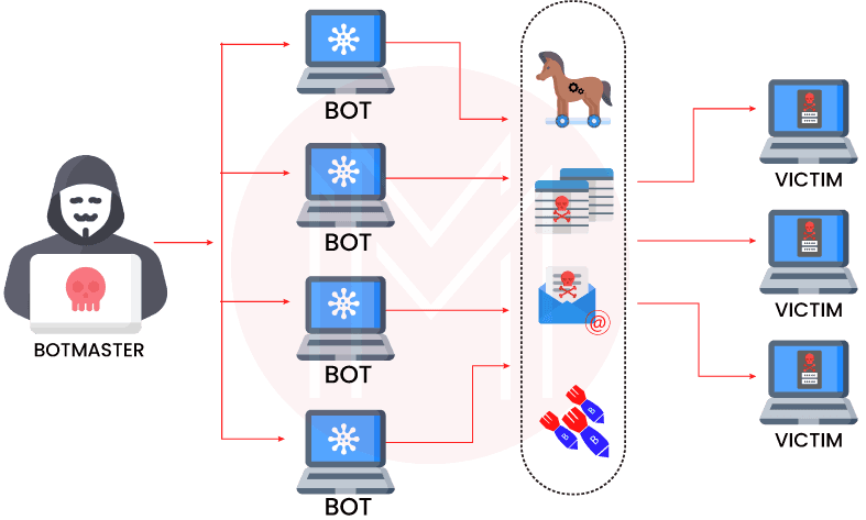 Botnet