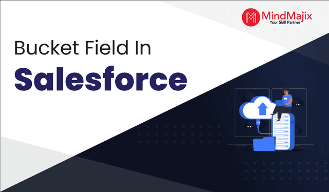 Bucket Field In Salesforce - Bucket Column Salesforce