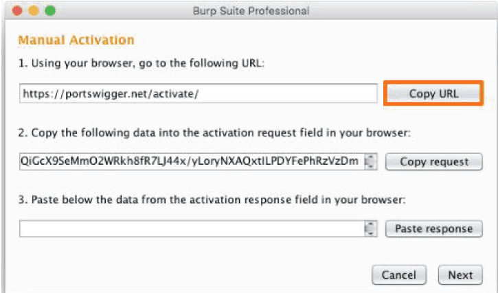 Burp Suite License