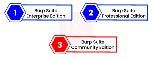 Products Offered by Burp Suite