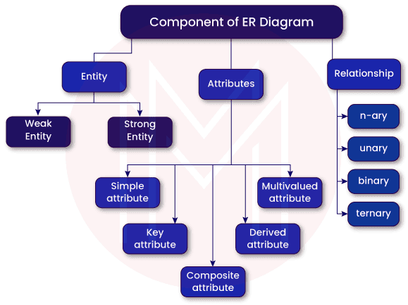 Components Of ER Diagram