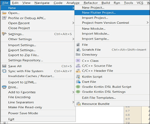 Creating the Flutter Project