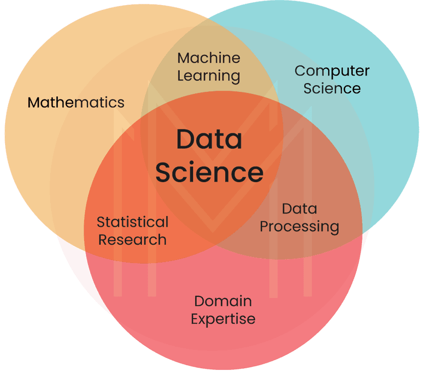 Data Scientist Skills