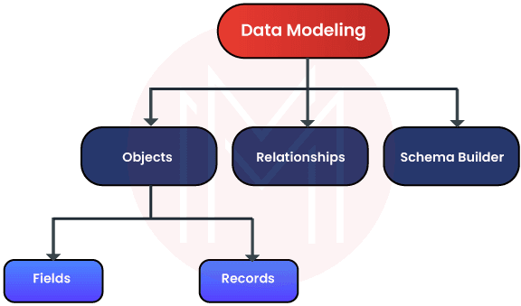 Salesforce Database