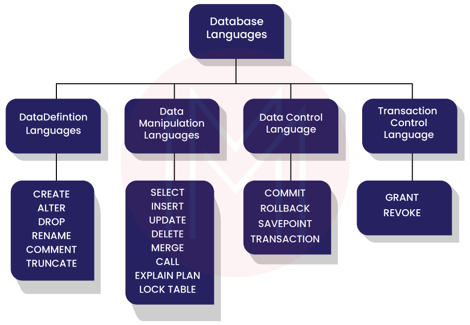 Database Languages