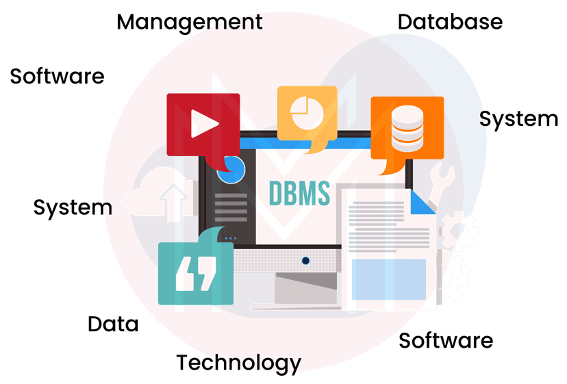 Database Management System