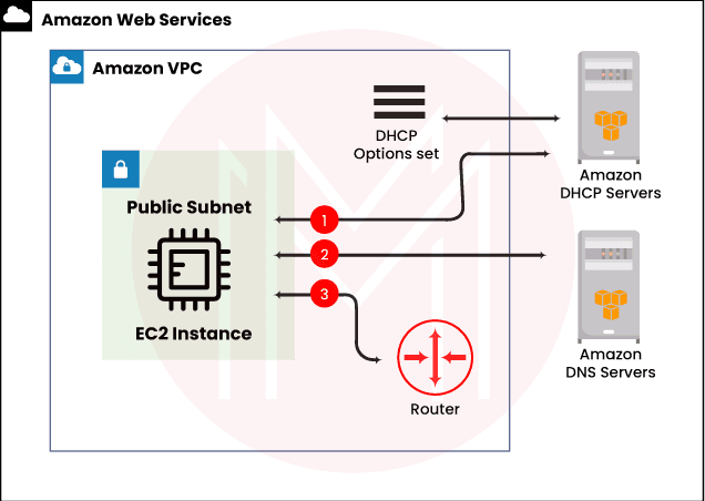 Default DHCP Option Set