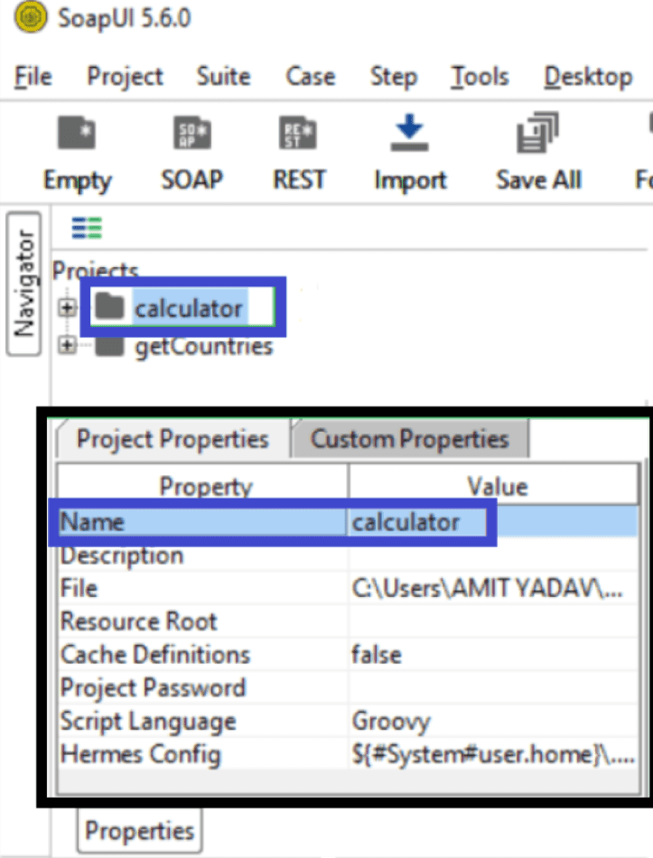 project default properties