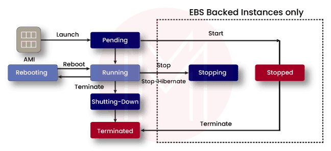 Amazon EC2 Windows Instances