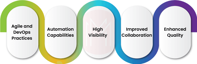 Features of ALM Octane