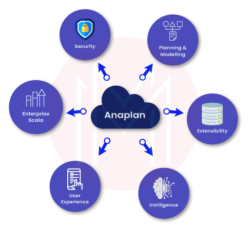 Features of Anaplan