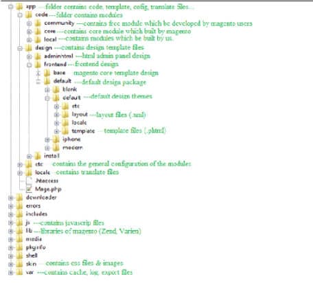 Folder Structure