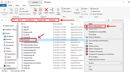 IIS Express installation Step 7