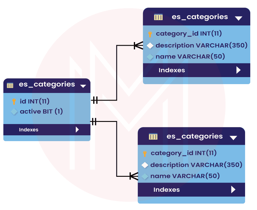 Mapped Superclass