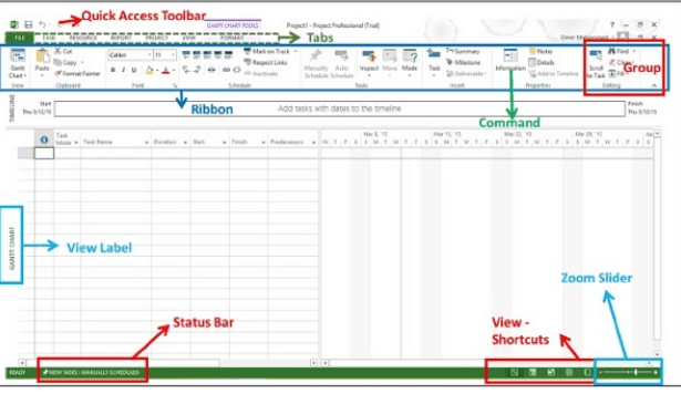 Interface of MS Project