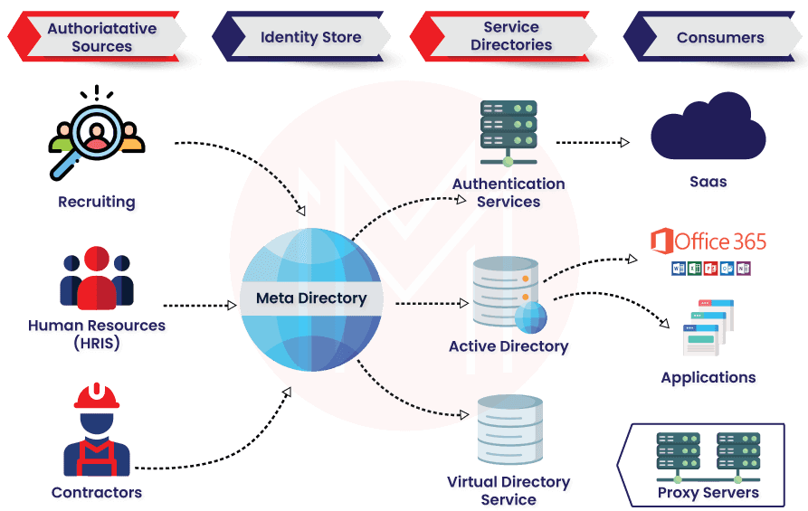 Multi-Dimensional RISK model of Saviynt