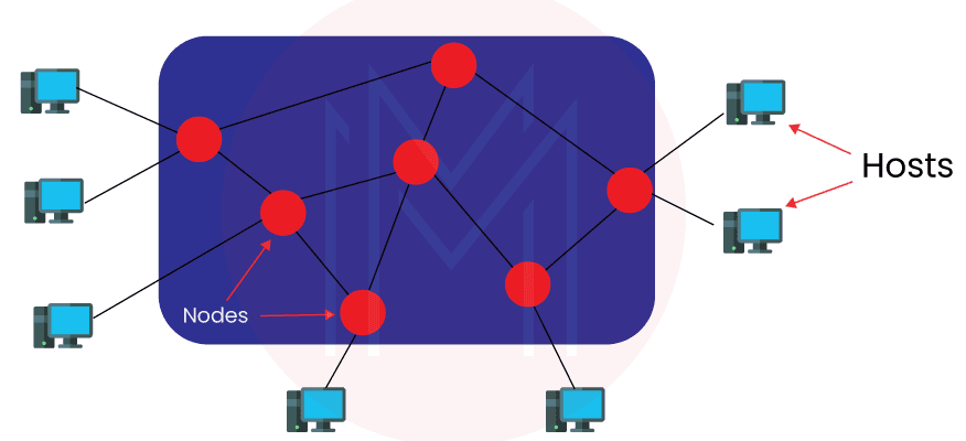 Network Nodes