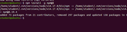 NPM installation status