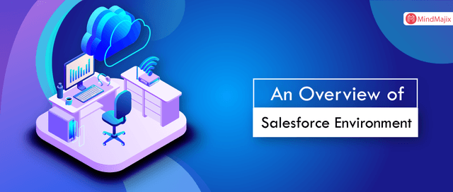 An Overview of Salesforce Development Environment