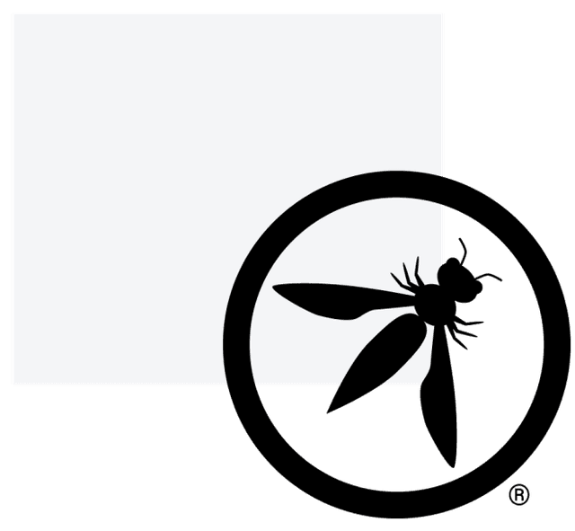 OWASP ESAPI's Core Design