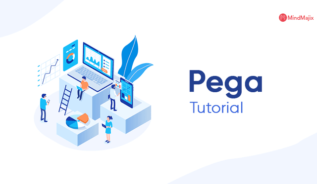 Pega Tutorial For Beginners