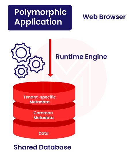 Polymorphic Application