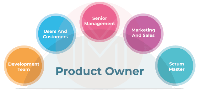 Product Owner