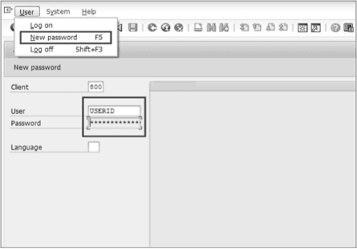 SAP ABAP Login Screen