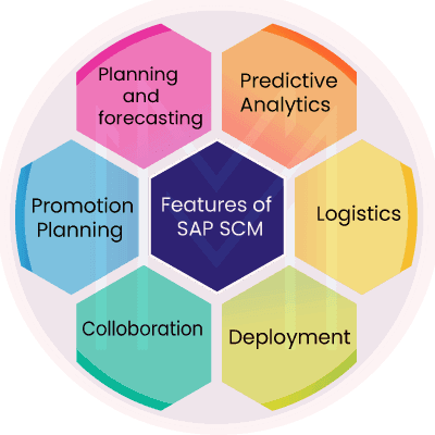 Features of SAP SCM