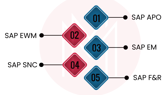 SAP SCM Modules